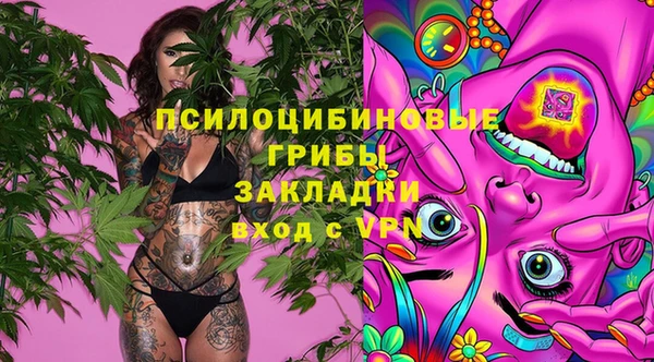 амфетамин Алексеевка