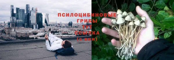 амфетамин Алексеевка